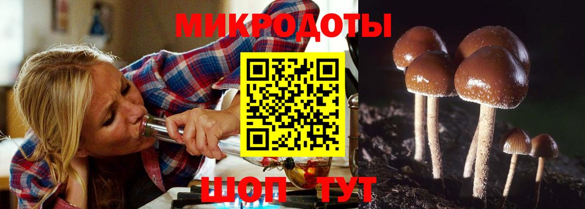 Псилоцибиновые грибы GOLDEN TEACHER  купить   Таганрог  Вход с VPN 
